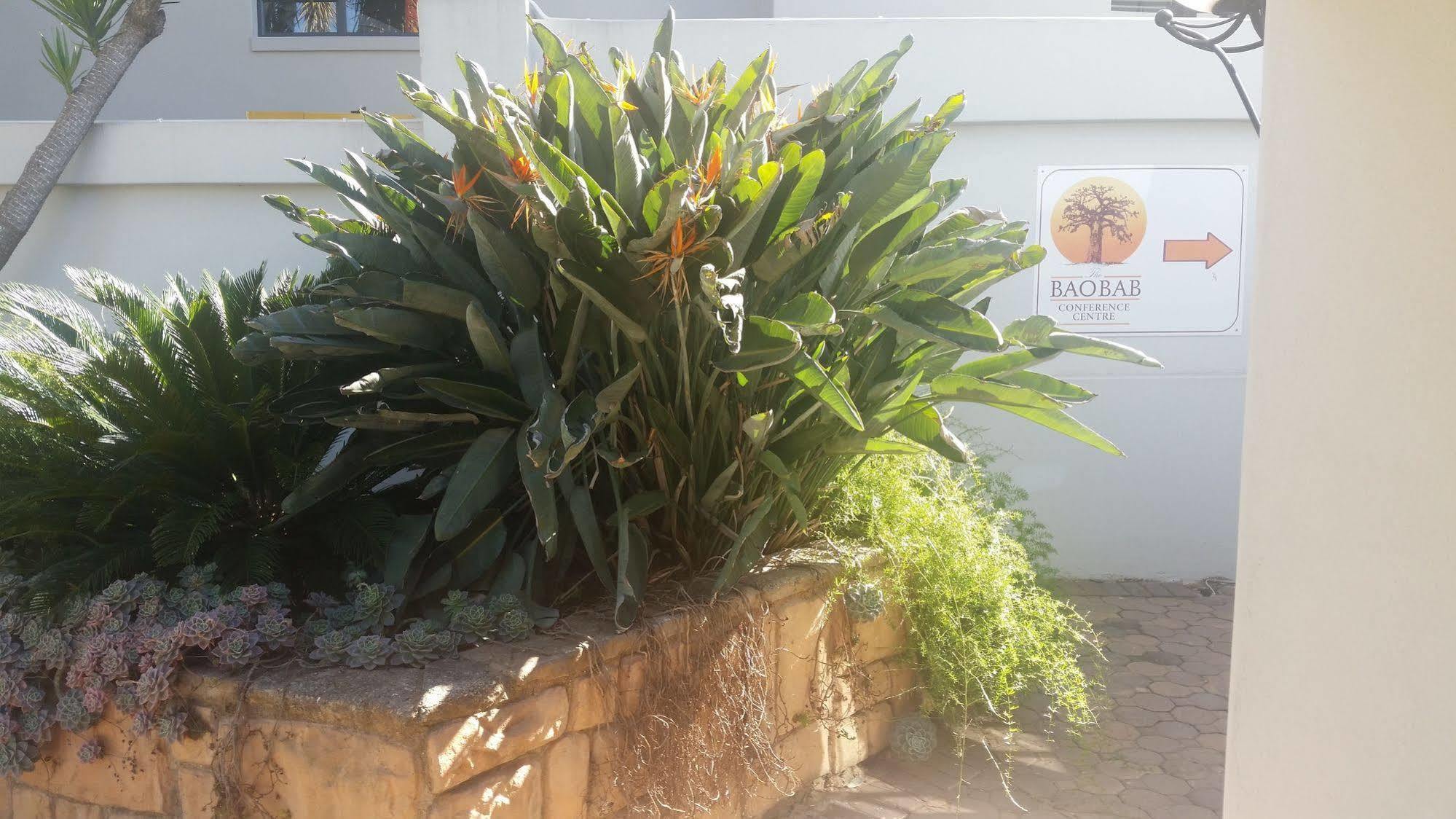 Willa The Baobab Midrand Zewnętrze zdjęcie